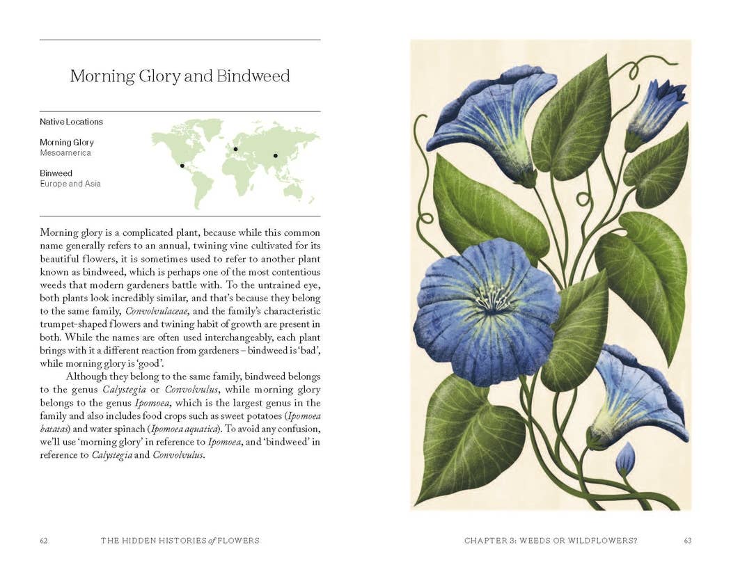 The Hidden Histories of Flowers