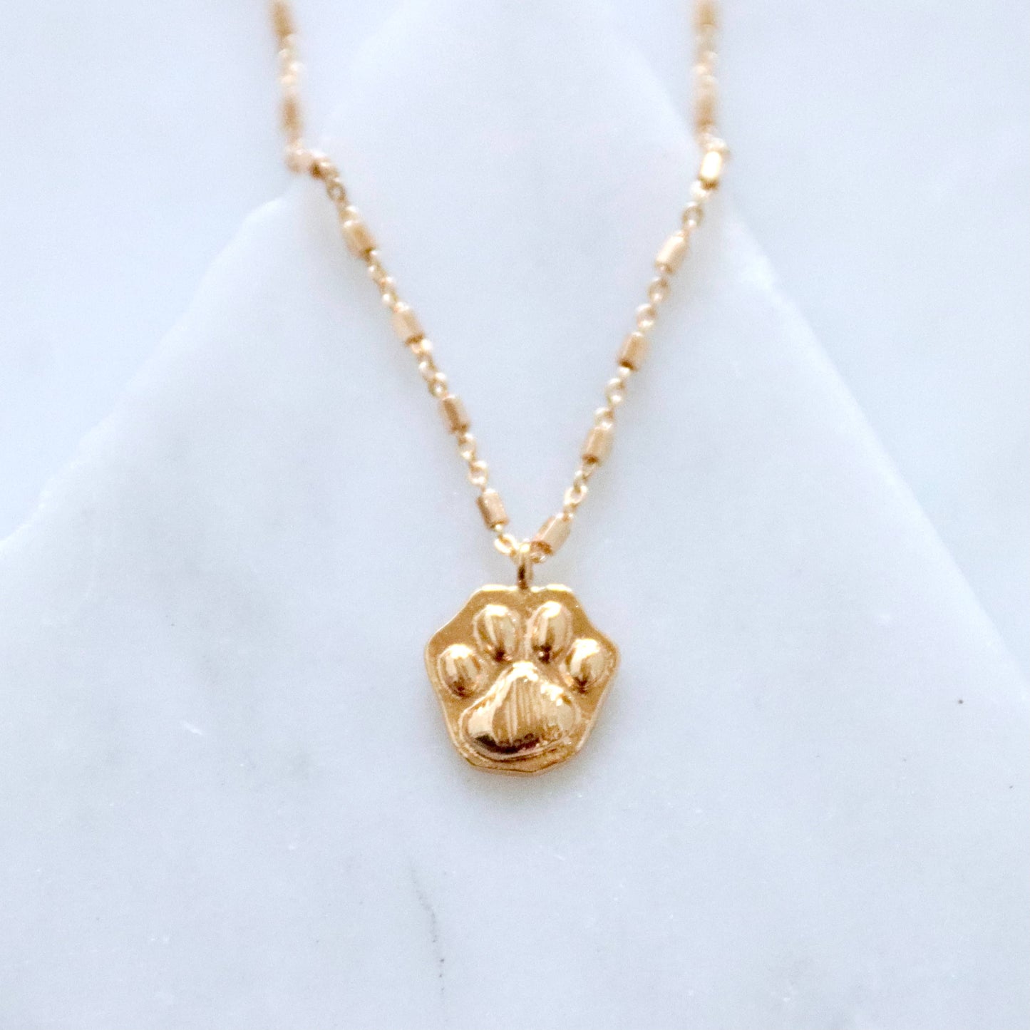 Paw Necklace