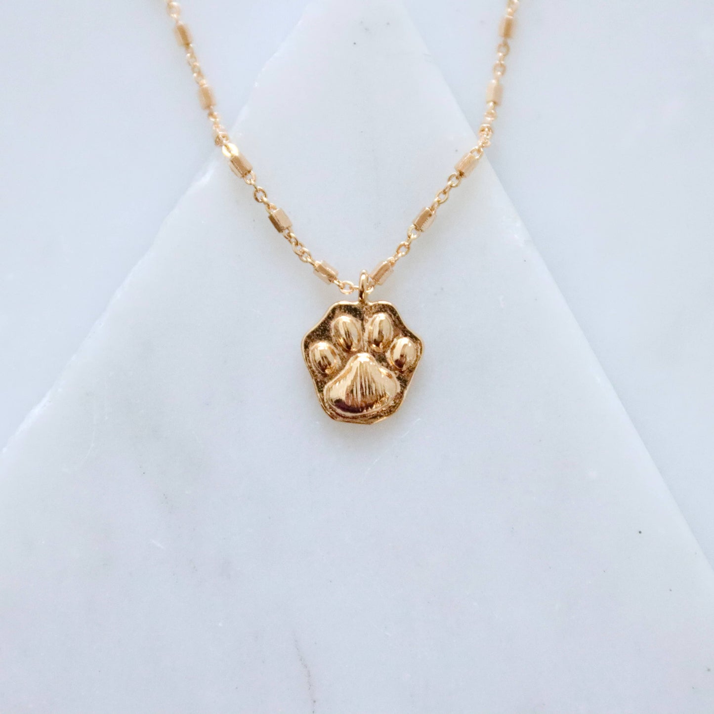 Paw Necklace