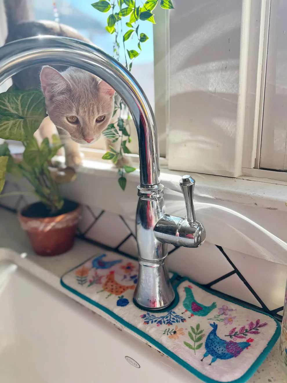 Reversible Sink Mate Chicken