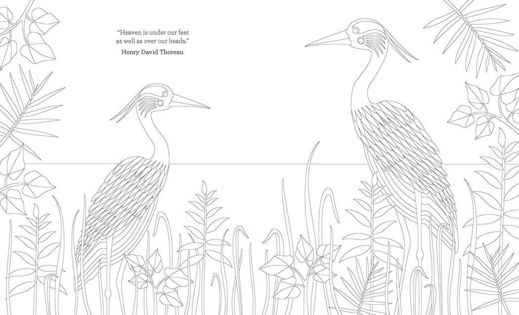 Joy of Mindfulness Coloring