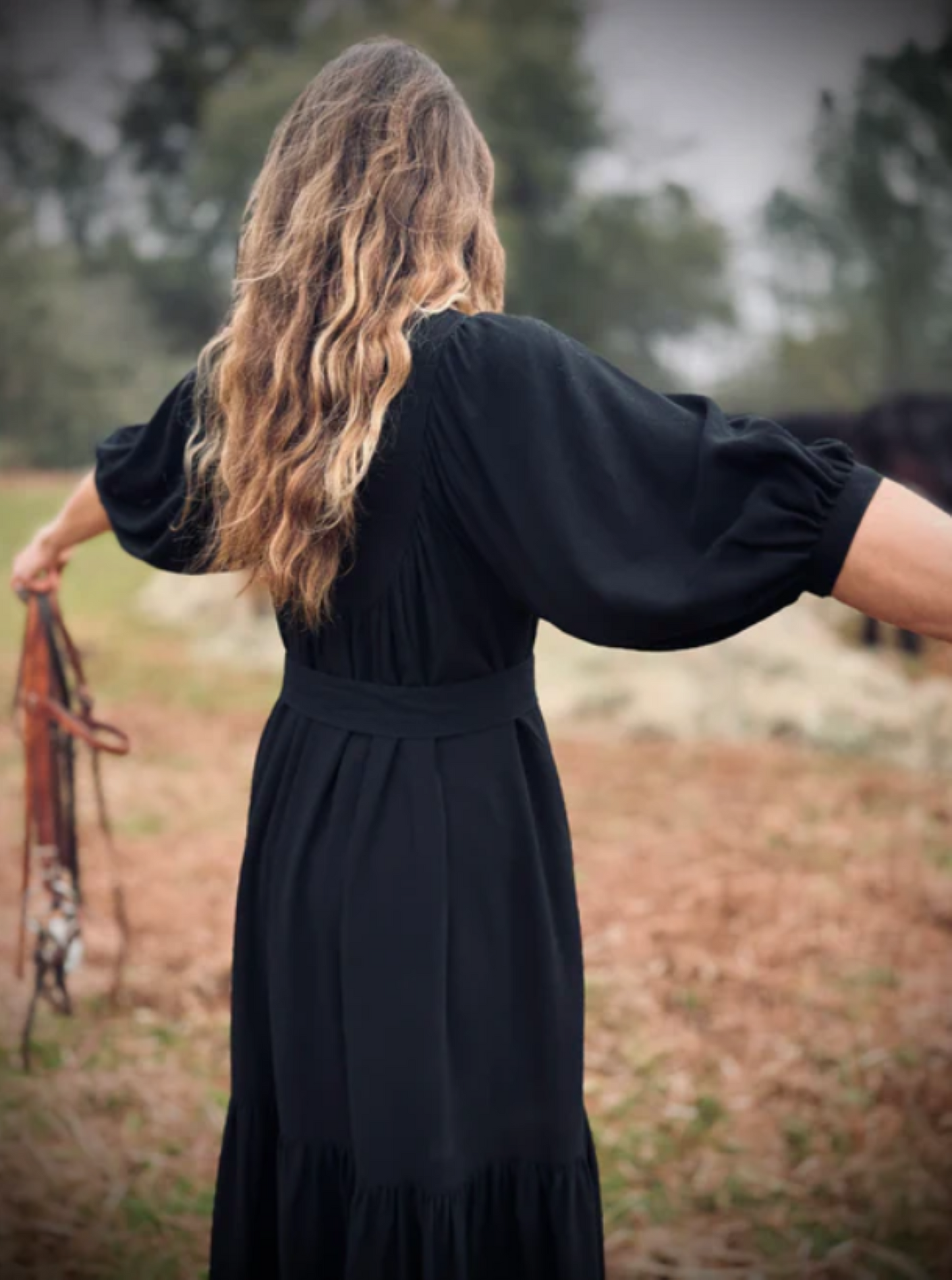 Margaret Poet Dress