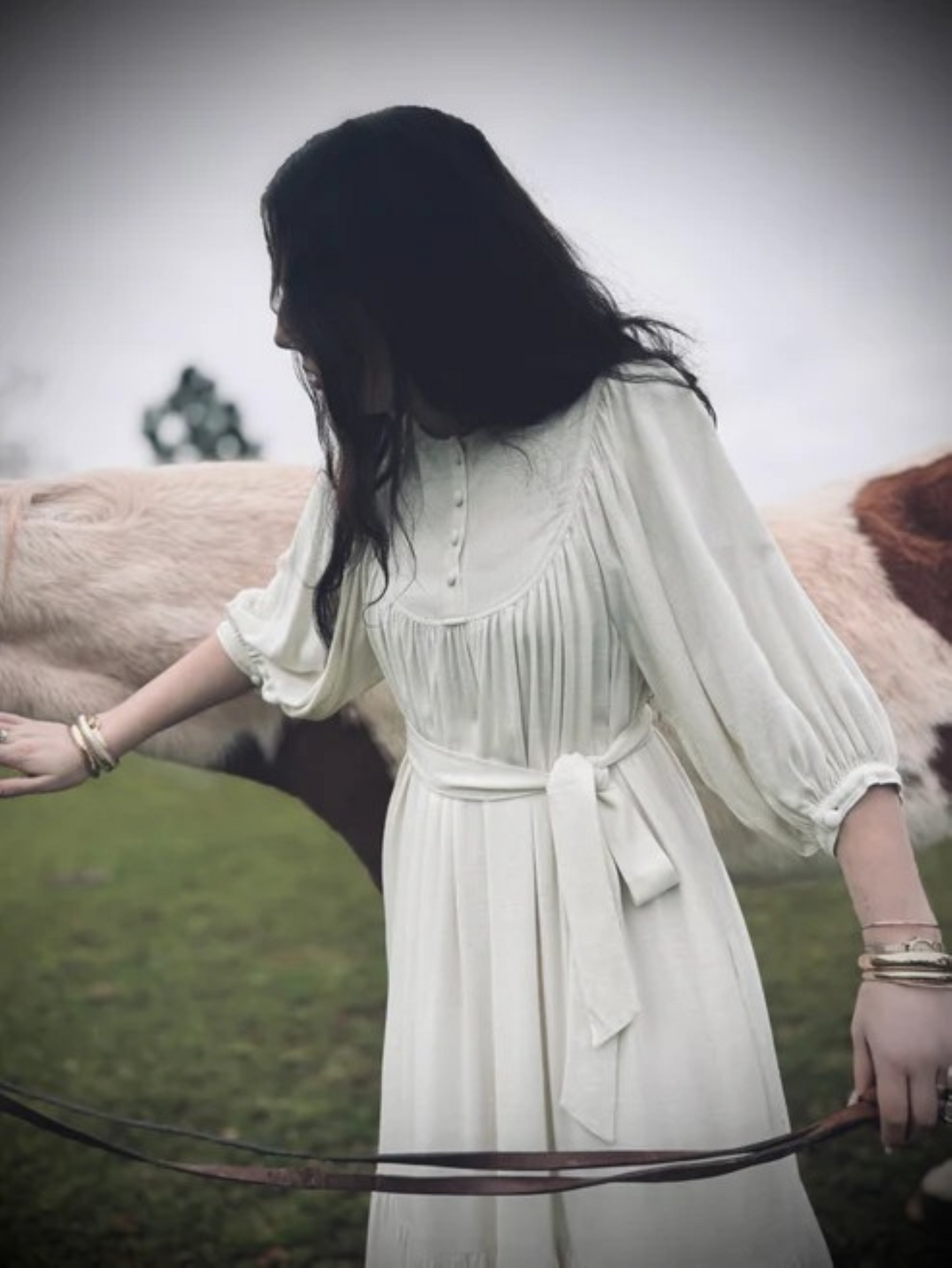 Margaret Poet Dress